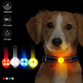 Luz de Seguridad para tus peludos