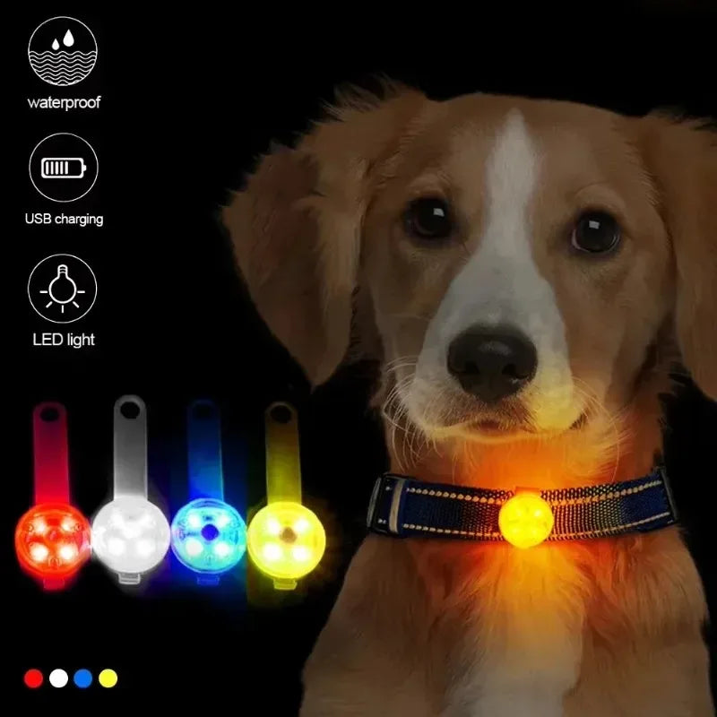 Luz de Seguridad para tus peludos