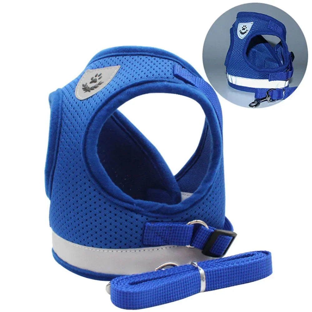 SafePaw Reflect Harness Set