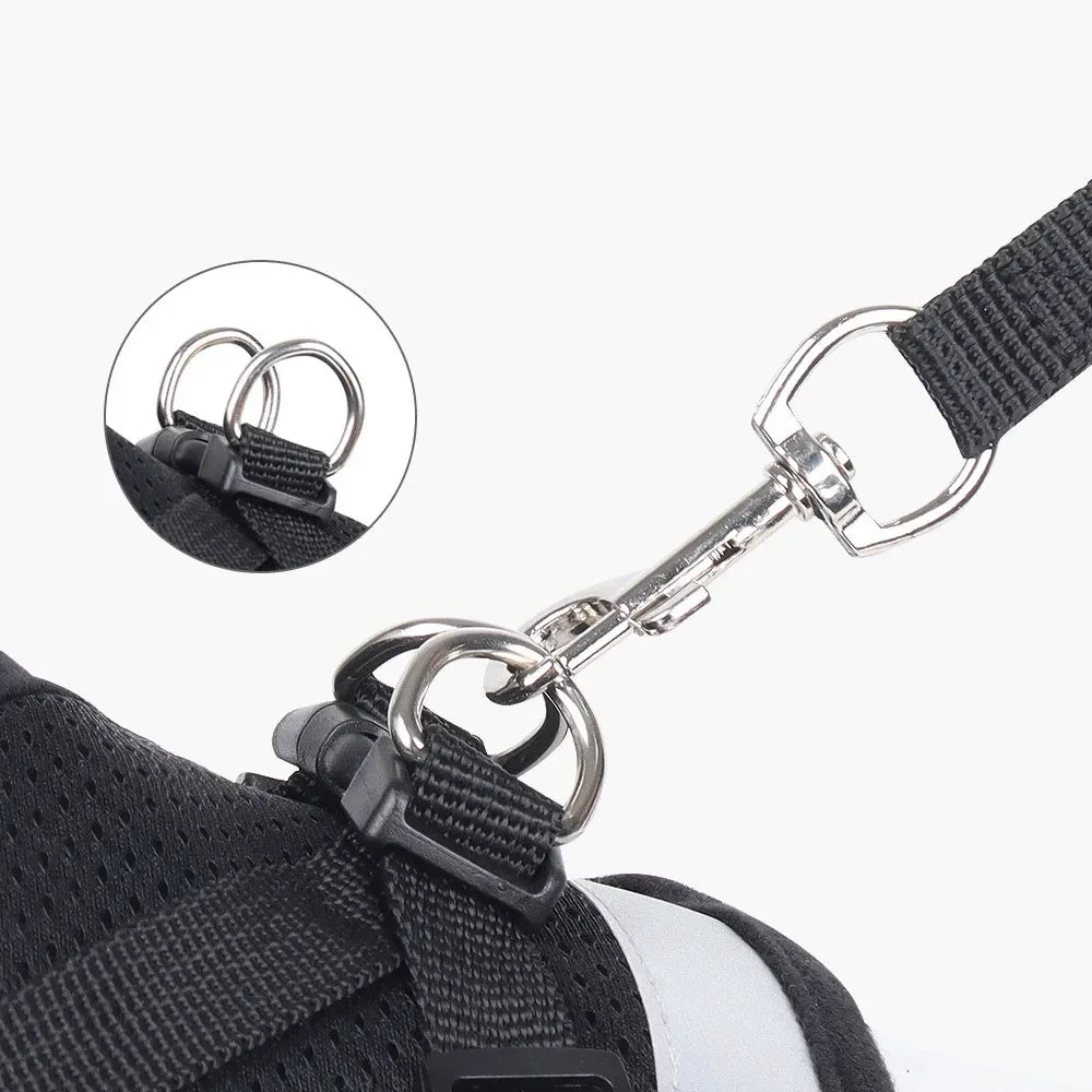 SafePaw Reflect Harness Set