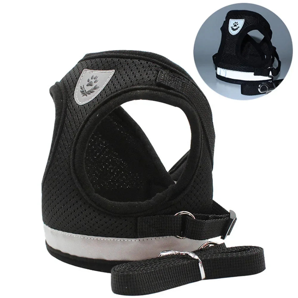 SafePaw Reflect Harness Set