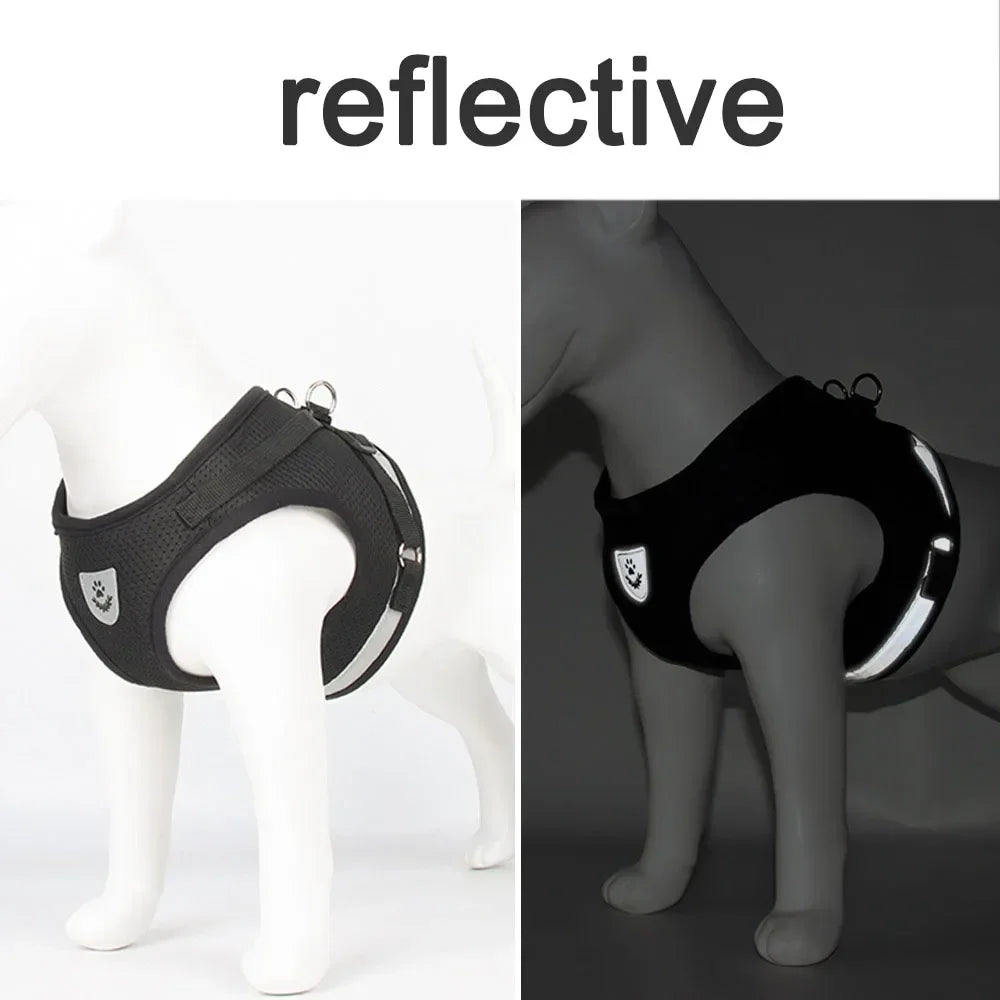 SafePaw Reflect Harness Set