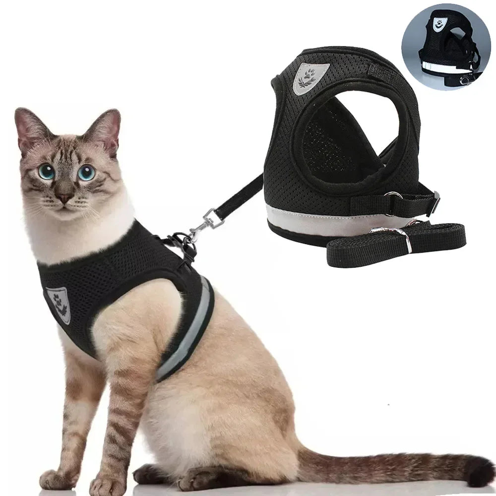SafePaw Reflect Harness Set
