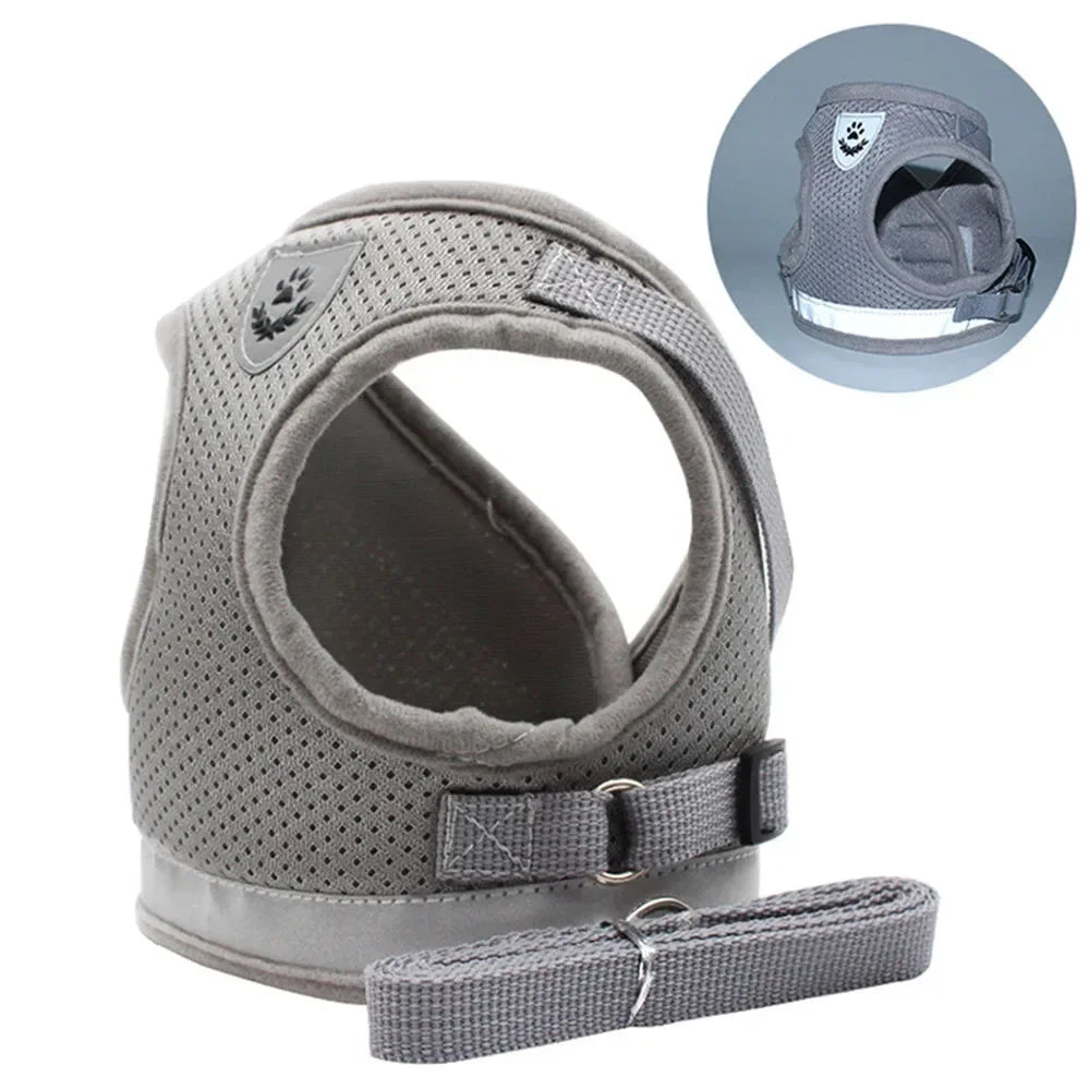 SafePaw Reflect Harness Set