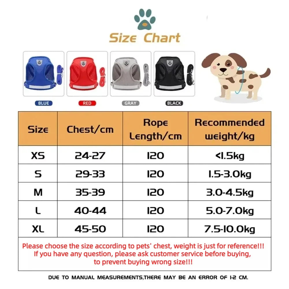 SafePaw Reflect Harness Set