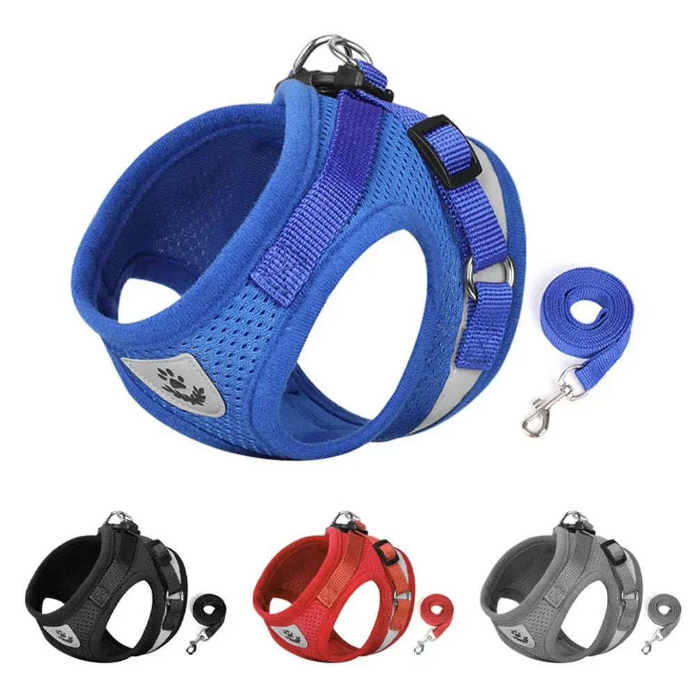 SafePaw Reflect Harness Set