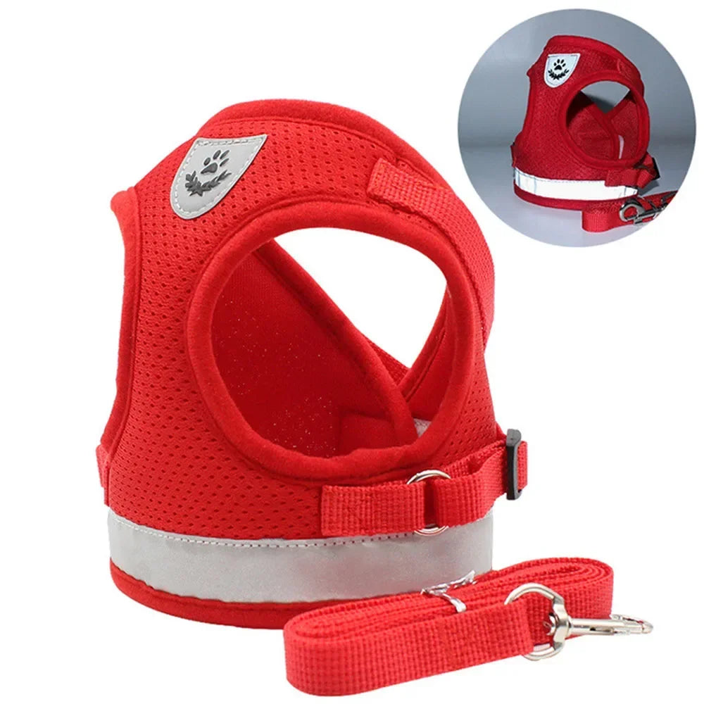 SafePaw Reflect Harness Set